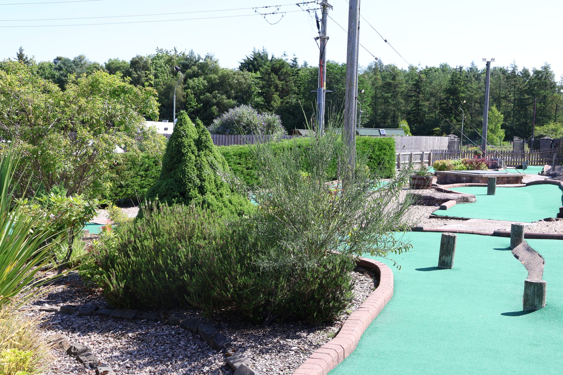 Adventure golf holes winding through planted gardens
